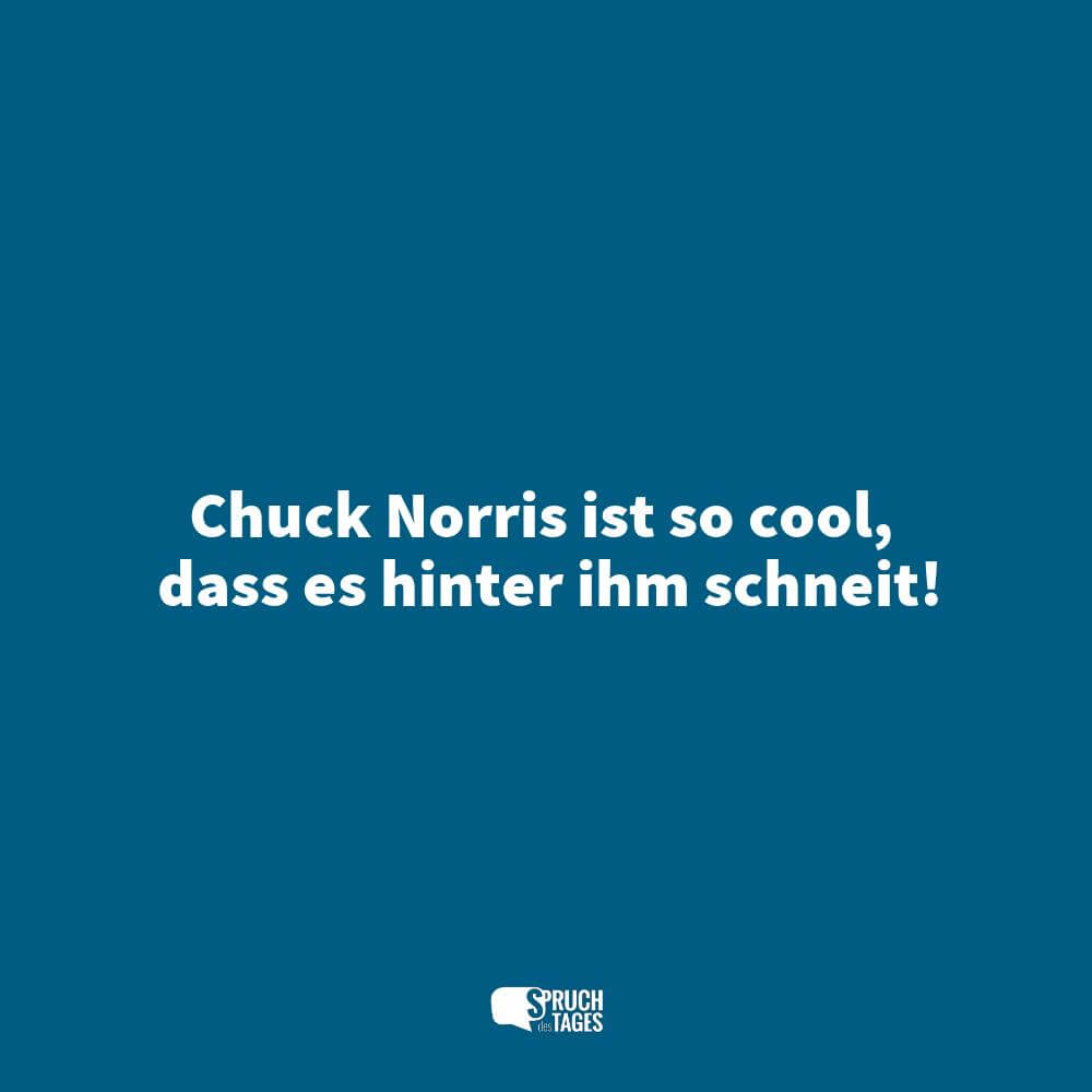 Chuck Norris ist so cool, dass es hinter ihm schneit!