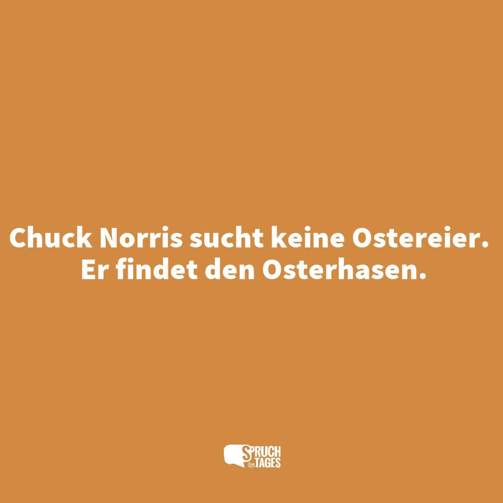 Chuck Norris sucht keine Ostereier. Er findet den Osterhasen.