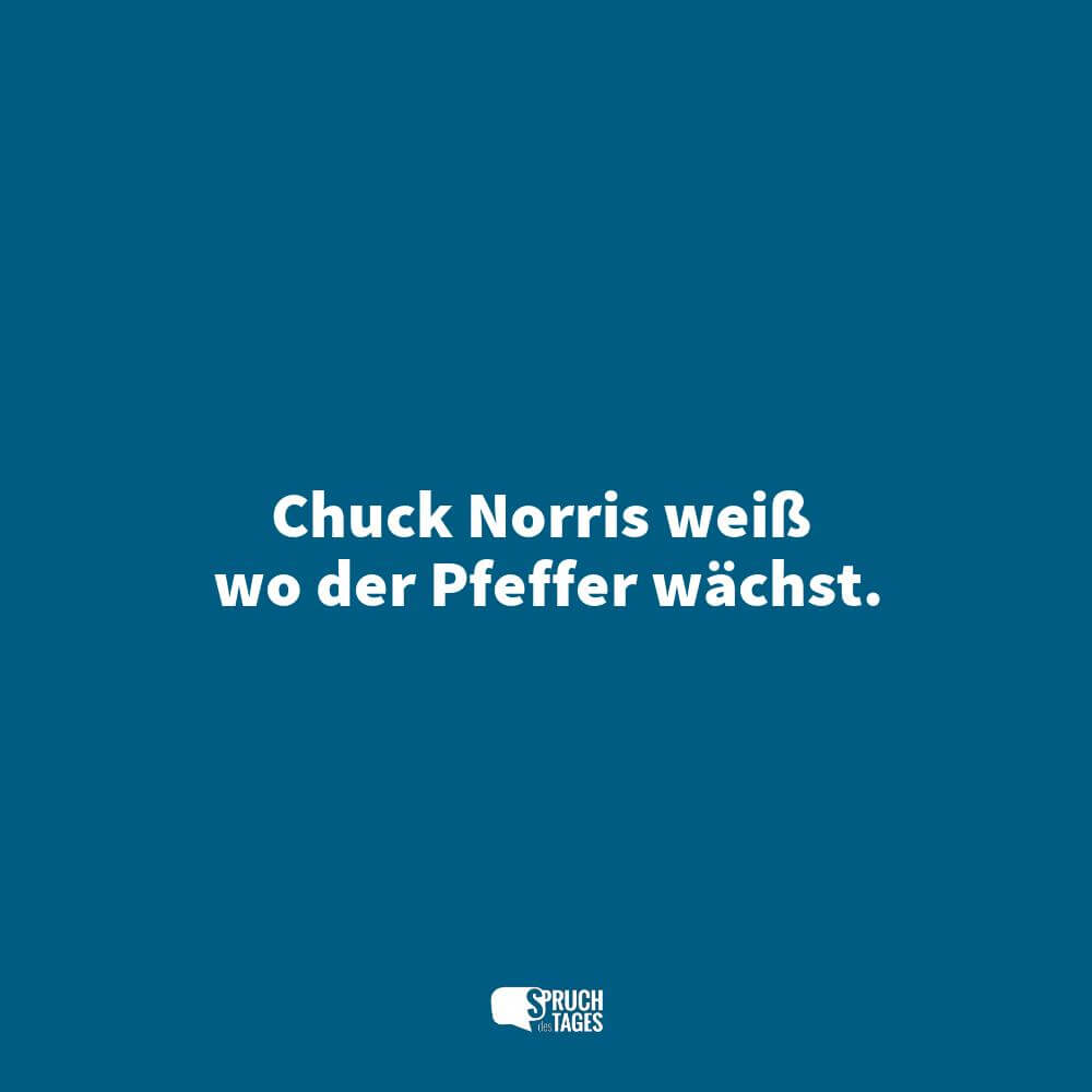 Chuck Norris weiß wo der Pfeffer wächst.