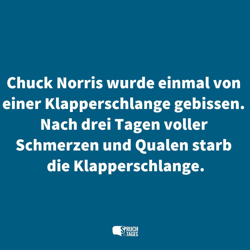 Chuck Norris wurde einmal von einer Klapperschlange gebissen. Nach drei Tagen voller Schmerzen und Qualen starb die Klapperschlange.