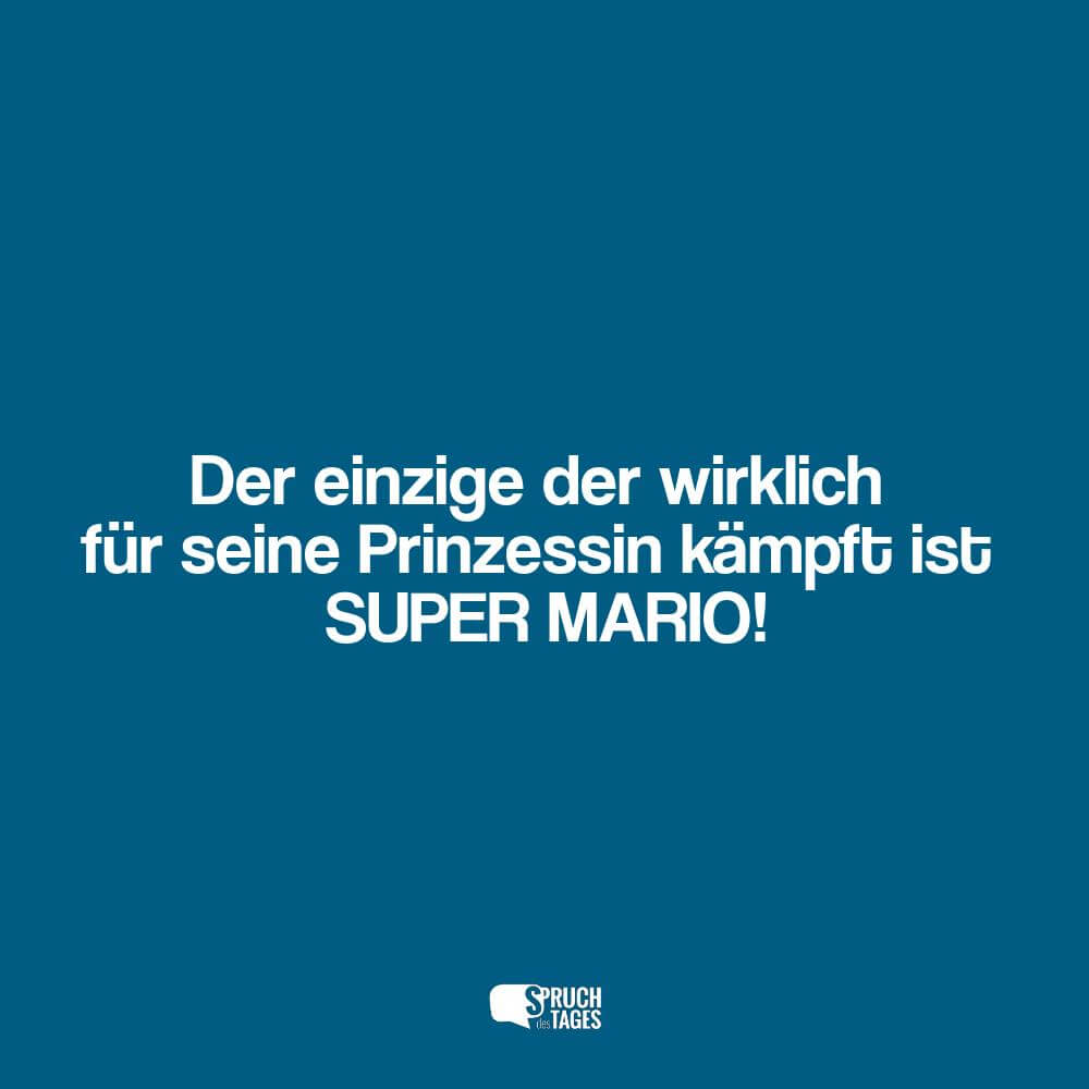 Der einzige der wirklich für seine Prinzessin kämpft ist SUPER MARIO!