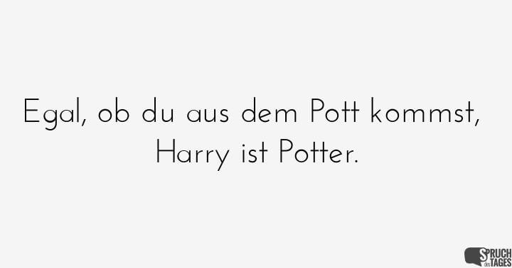 Egal, ob du aus dem Pott kommst, Harry ist Potter.