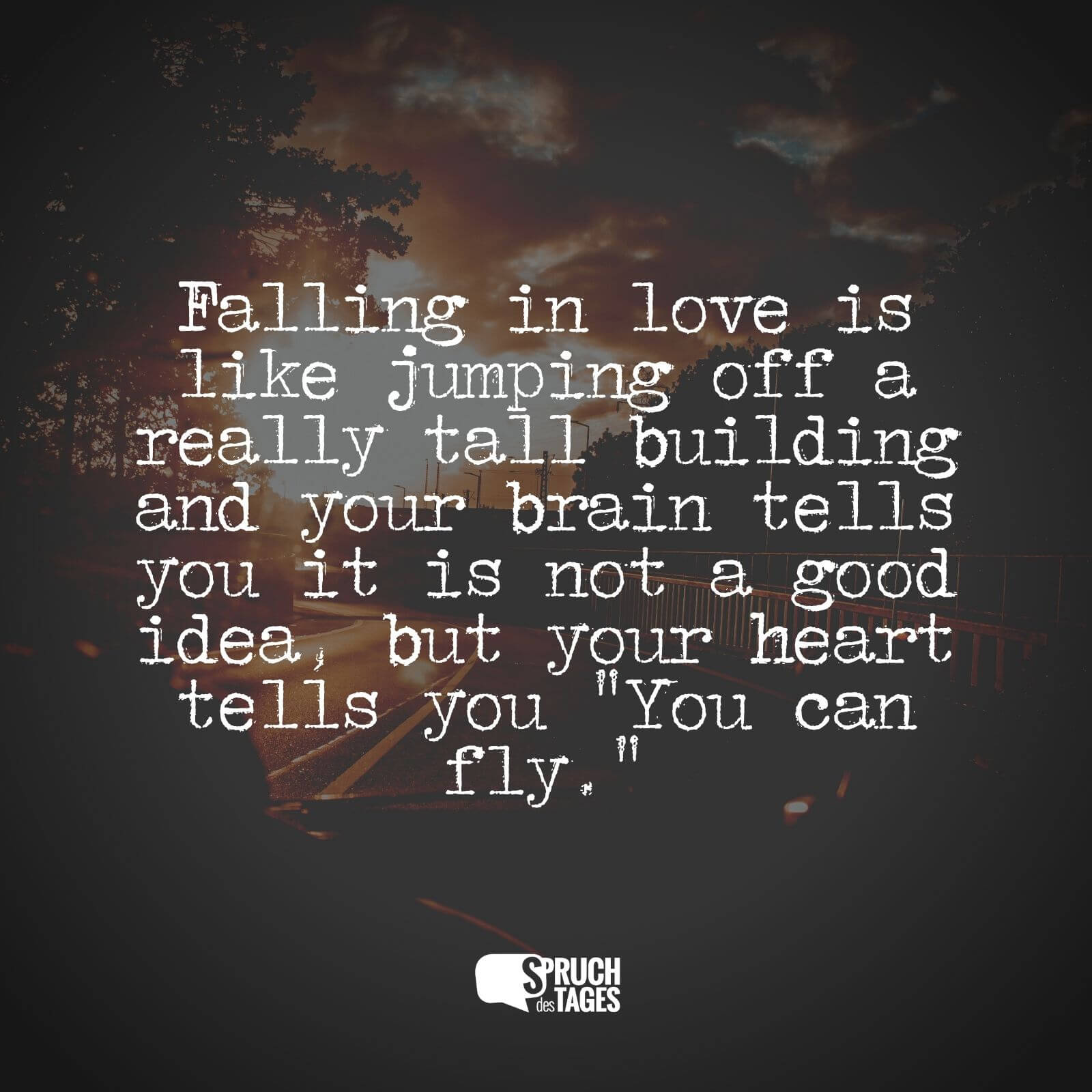 Falling in love is like jumping off a really tall building and your brain tells you it is not a good idea, but your heart tells you „You can fly.“