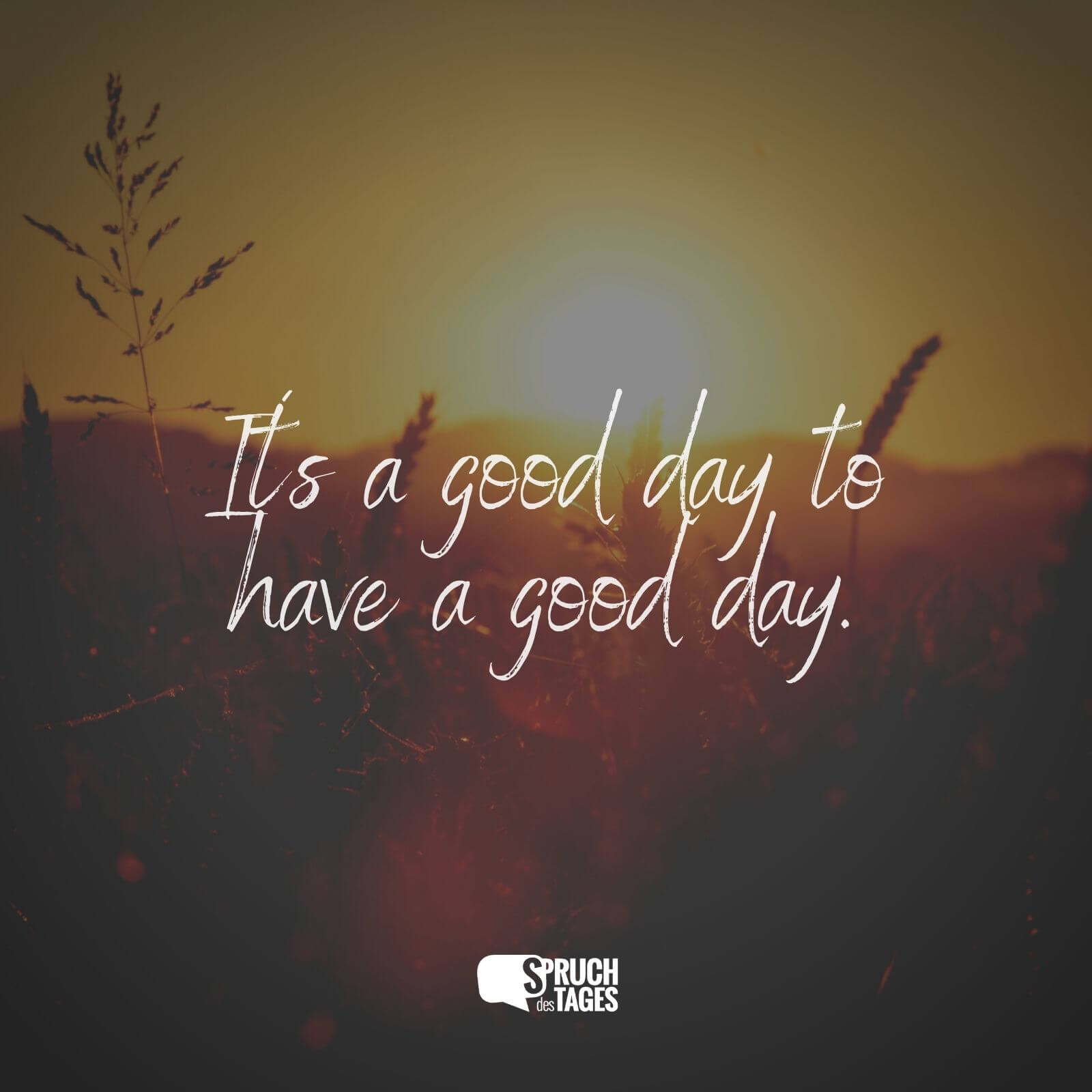 It´s a good day to have a good day.