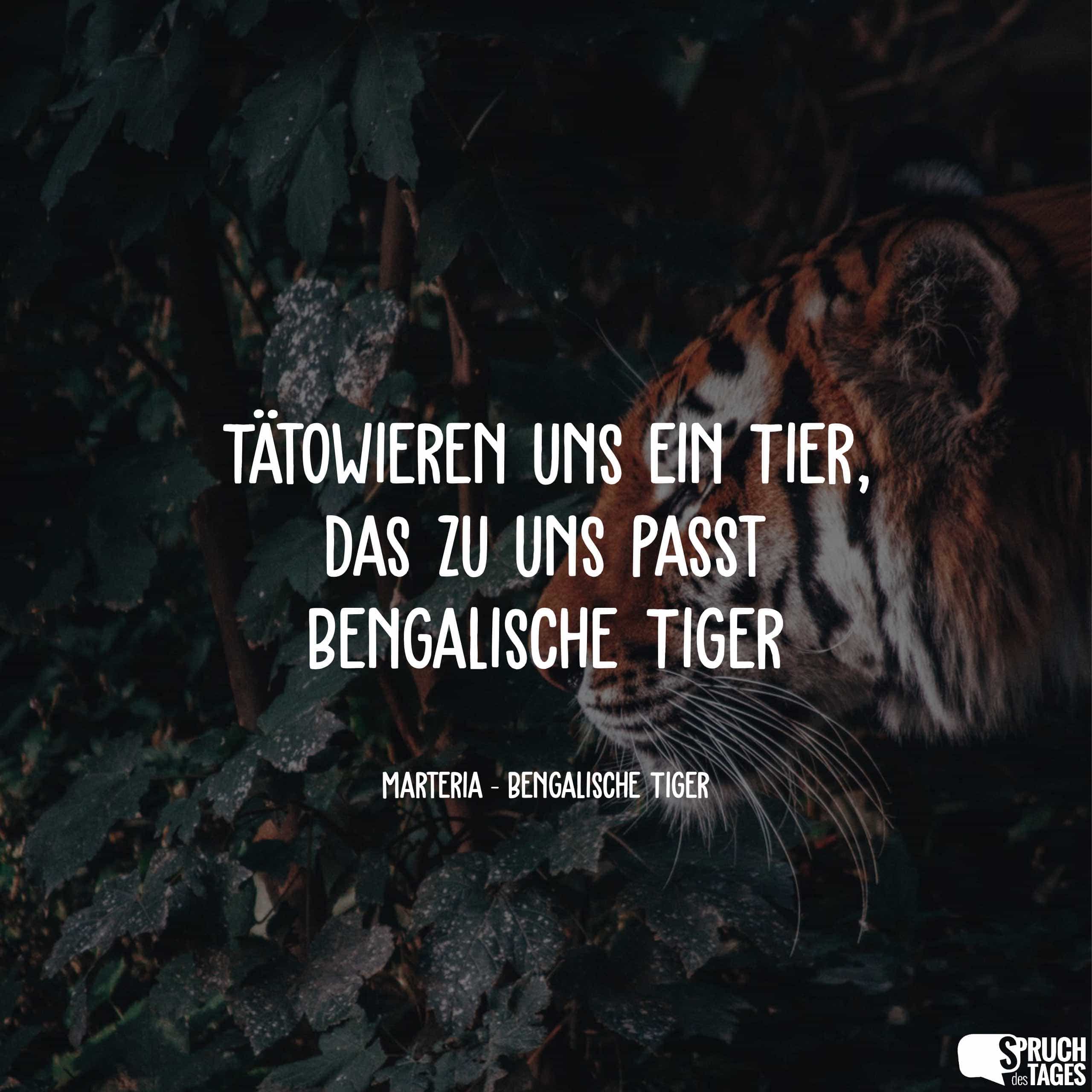 Tätowieren uns ein Tier, das zu uns passt – Bengalische Tiger.