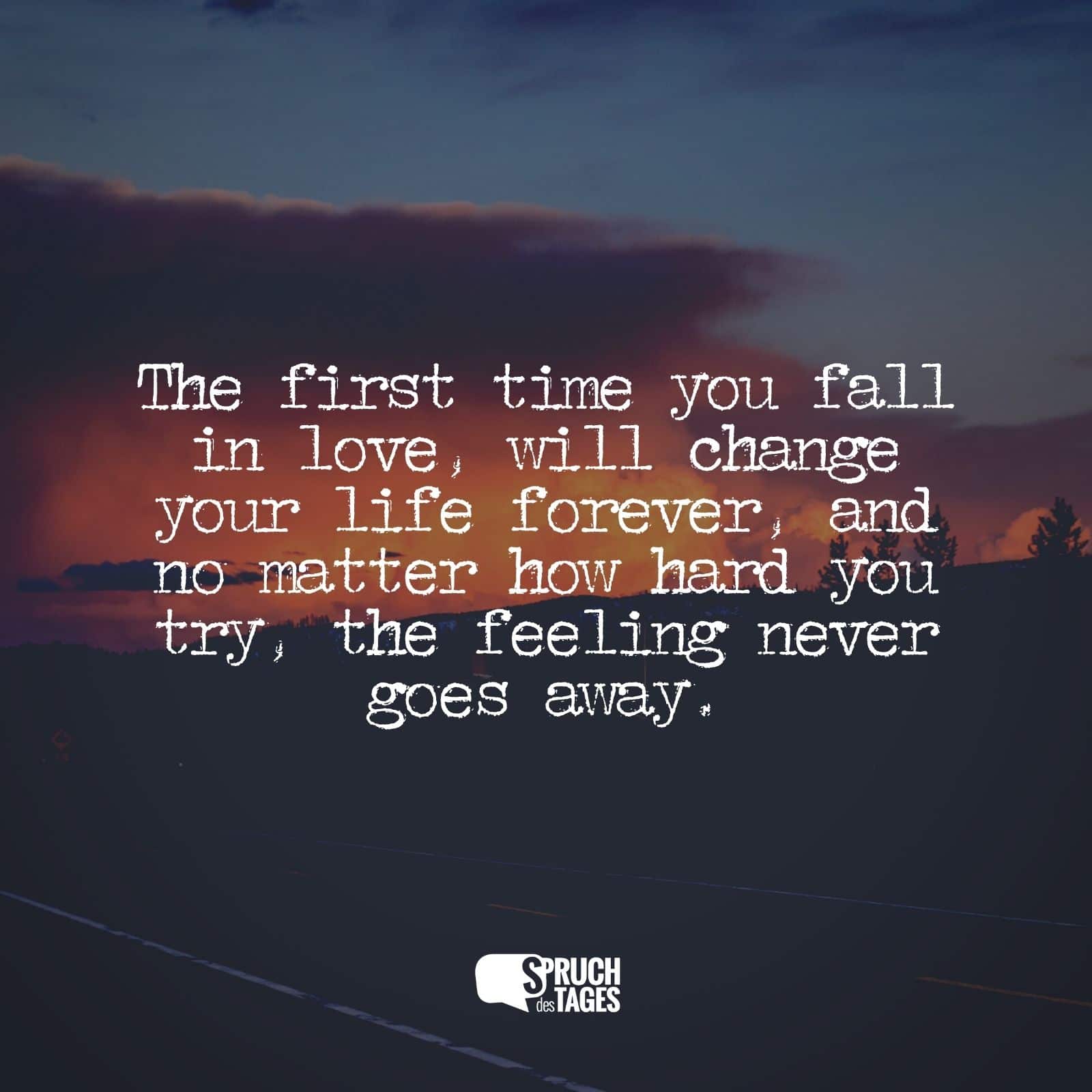 The first time you fall in love, will change your life forever, and no matter how hard you try, the feeling never goes away.